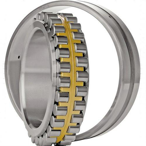 Double Row Full Complement Cylindrical Roller Bearings